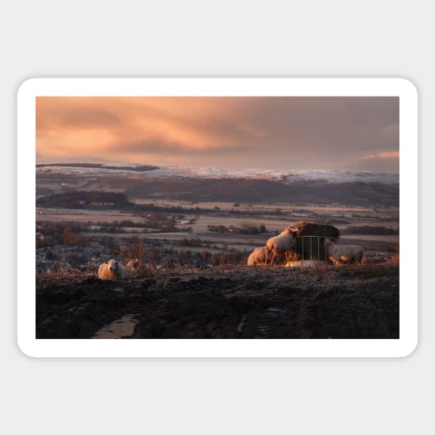 Sunrise over Stirling with Sheep Sticker by TMcG72